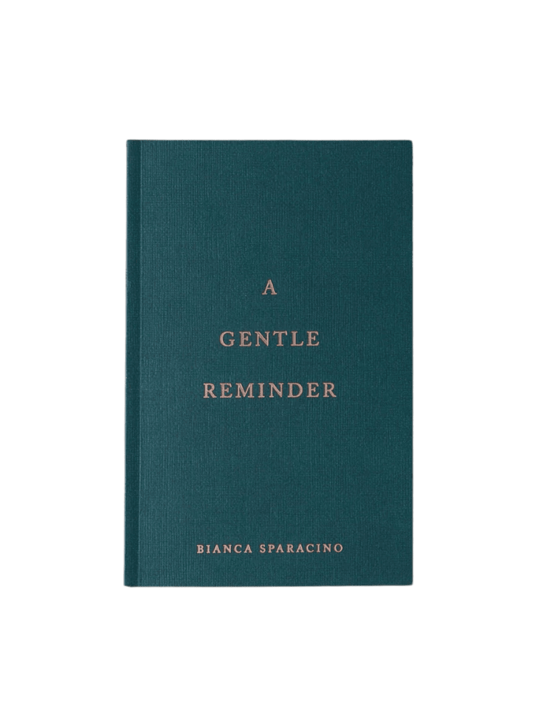A Gentle Reminder by Bianca Sparacino | Twentyseven Toronto