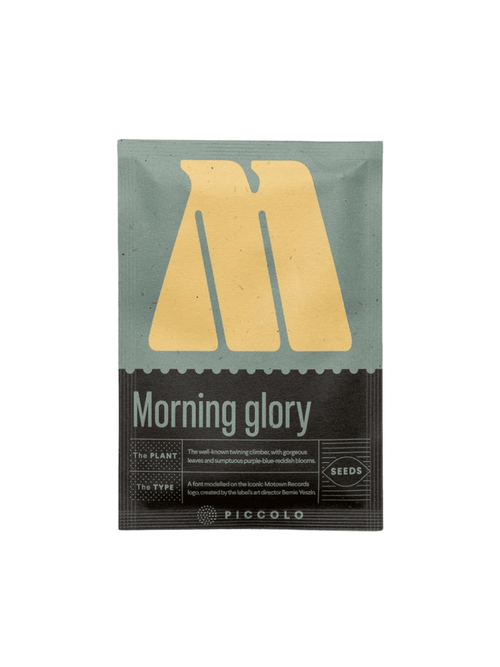 Piccolo Seeds M - Morning Glory Seed Pack | Twentyseven Toronto