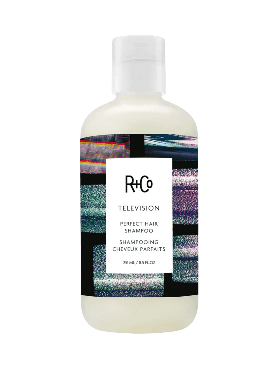 R+Co TELEVISION Perfect Hair Shampoo | Twentyseven Toronto