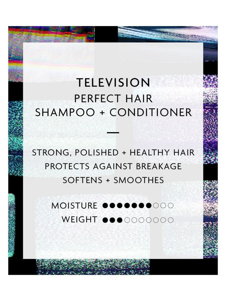 R+Co Television Perfect Hair Shampoo & Conditioner Full Size 251ml | Twentyseven Toronto