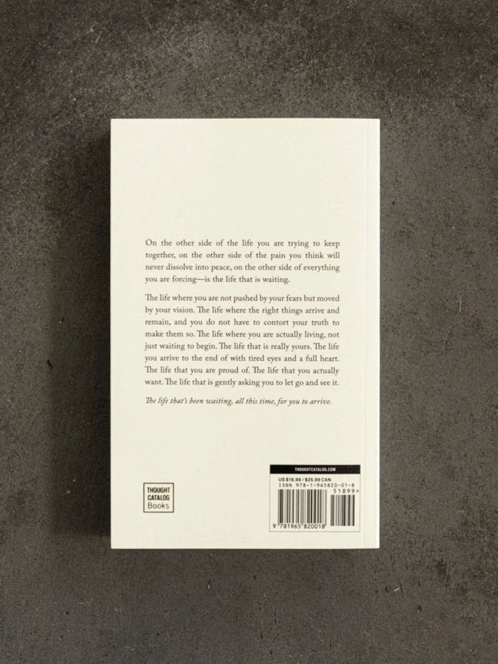 The Life That's Waiting by Brianna Wiest | Twentyseven Toronto