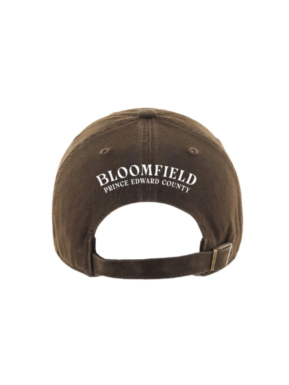 27 Bloomfield Cap - Brown | Twentyseven Toronto