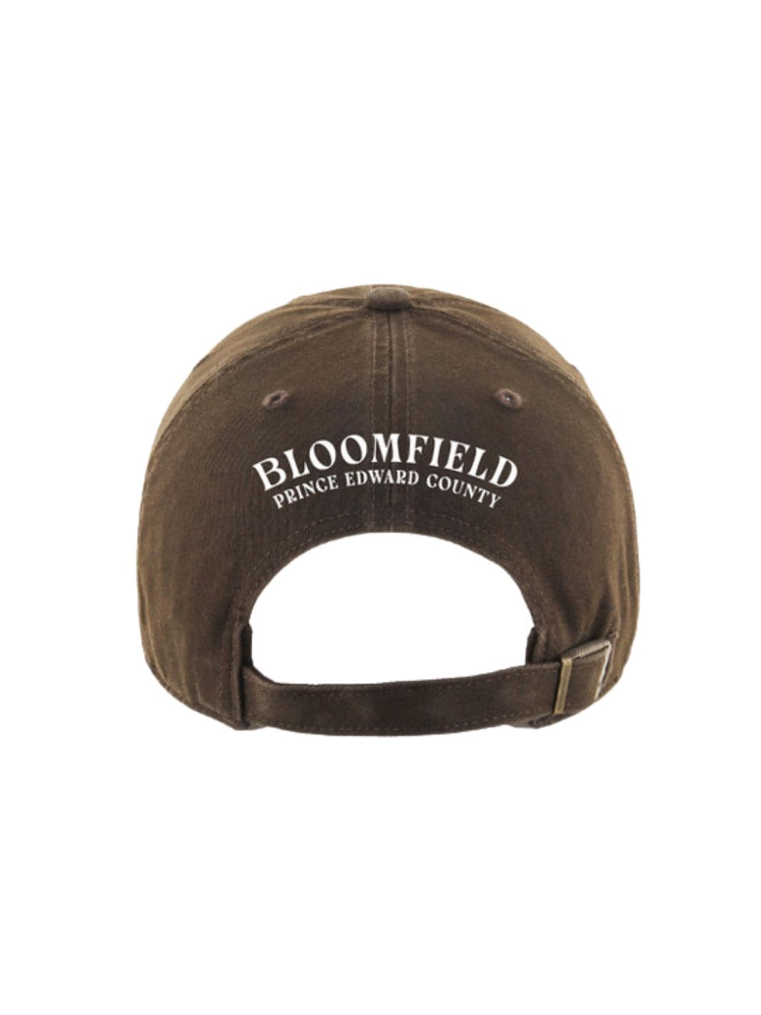 27 Bloomfield Cap - Brown | Twentyseven Toronto
