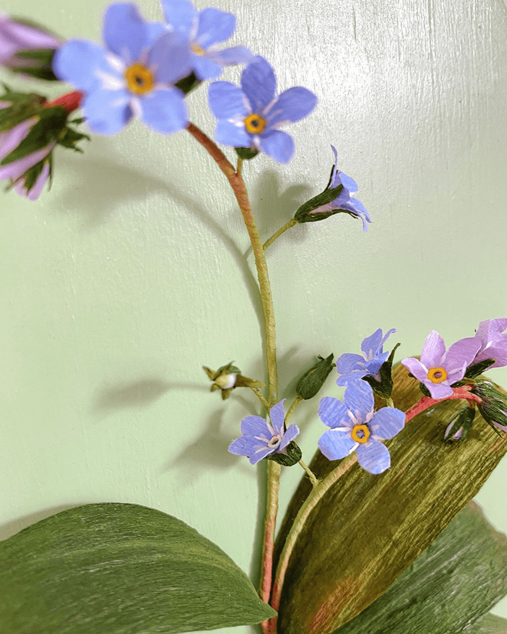 Twentyseven Toronto - Golden Age Botanicals Periwinkle Blue Forget-Me-Nots - 6.5” wide x 9” tall