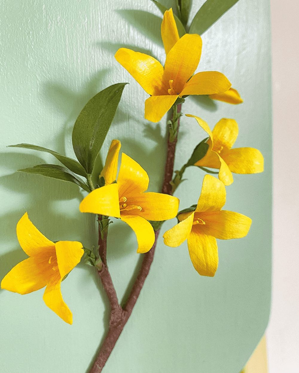 Twentyseven Toronto - Golden Age Botanicals Small Forsythia 5” wide x 7” tall