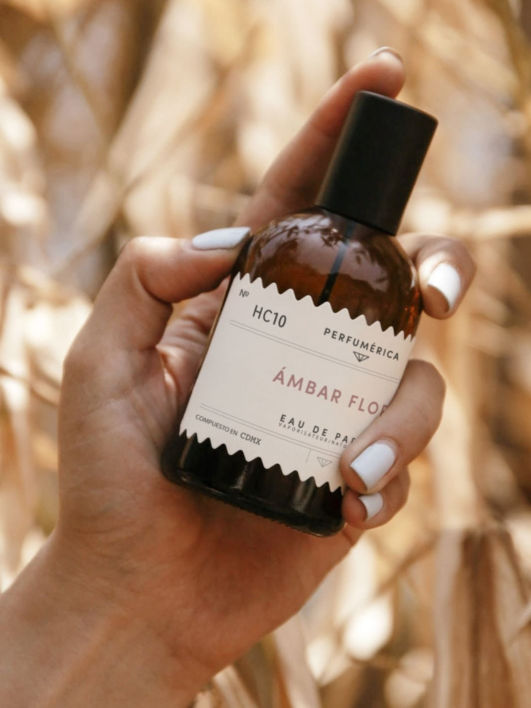 Hand holding brown perfume bottle with a black cap, the fragrance 'HC10 Amber Floral Eau de Parfum' from Perfumérica, 120ml, against blurred natural background | Twentyseven Toronto