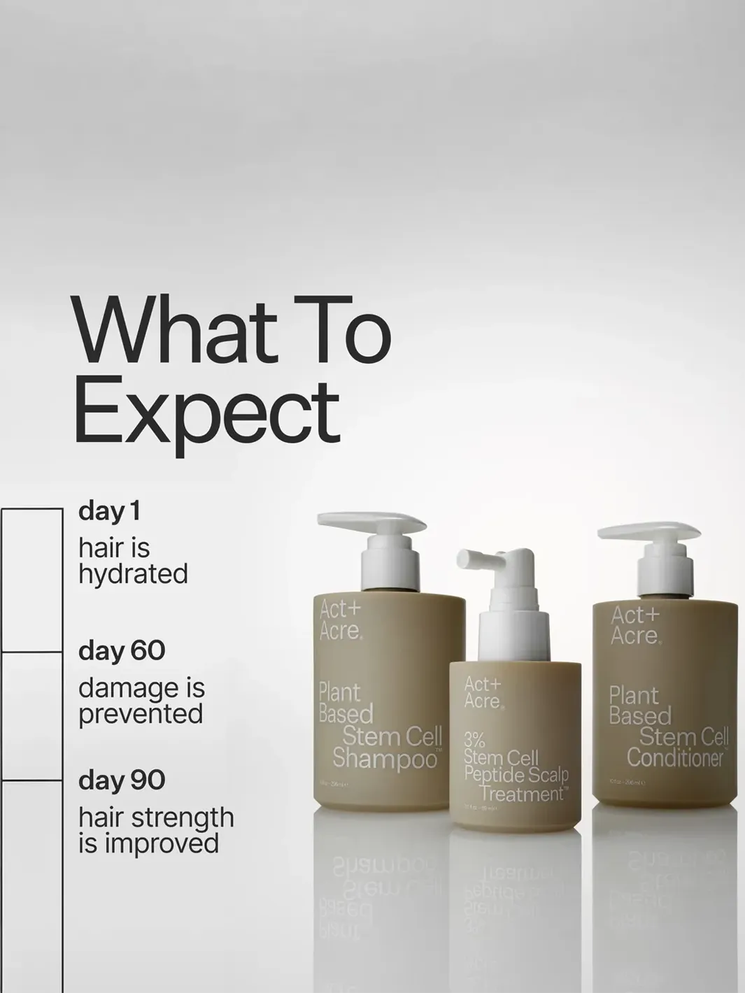 Act+Acre Stem Cell System results timeline showing hydrated hair on day 1, damage prevention by day 60 and improved hair strength by day 90 | Twentyseven Toronto