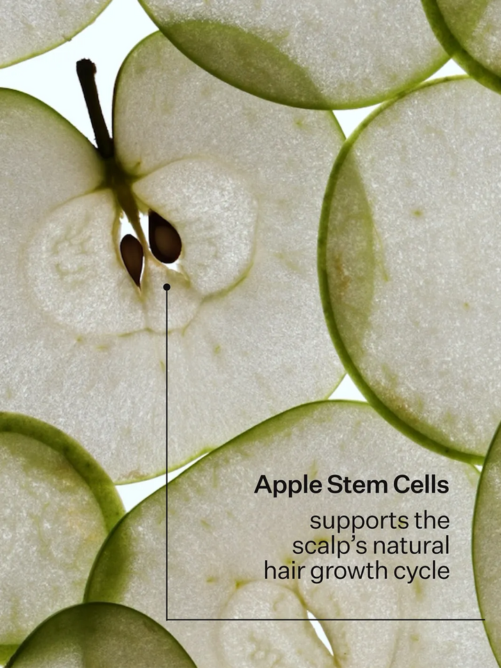 Apple slices representing the apple stem cells in Act+Acre Stem Cell Thickening Foam, formulated to support the scalp's natural hair growth cycle | Twentyseven Toronto