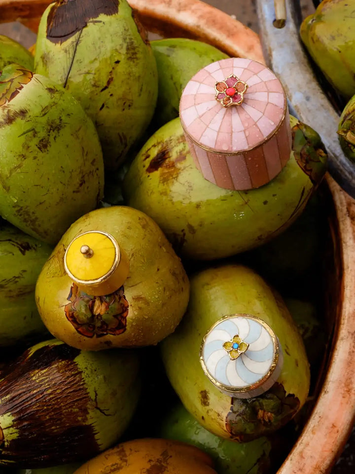 Doing Goods Bailey Circus Box Small Yellow | Twentyseven Toronto | Decorative storage boxes with colourful lids on green fruits in a bowl