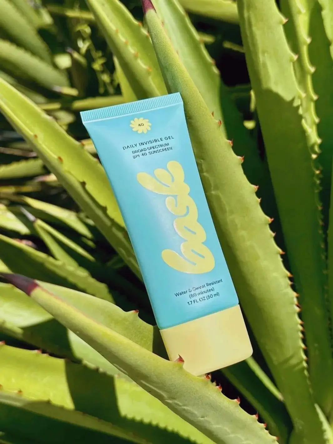 A light blue tube of Bask Suncare Daily Invisible Gel SPF 40 Sunscreen is nestled securely among the thick, green leaves of an aloe vera plant | Twentyseven Toronto