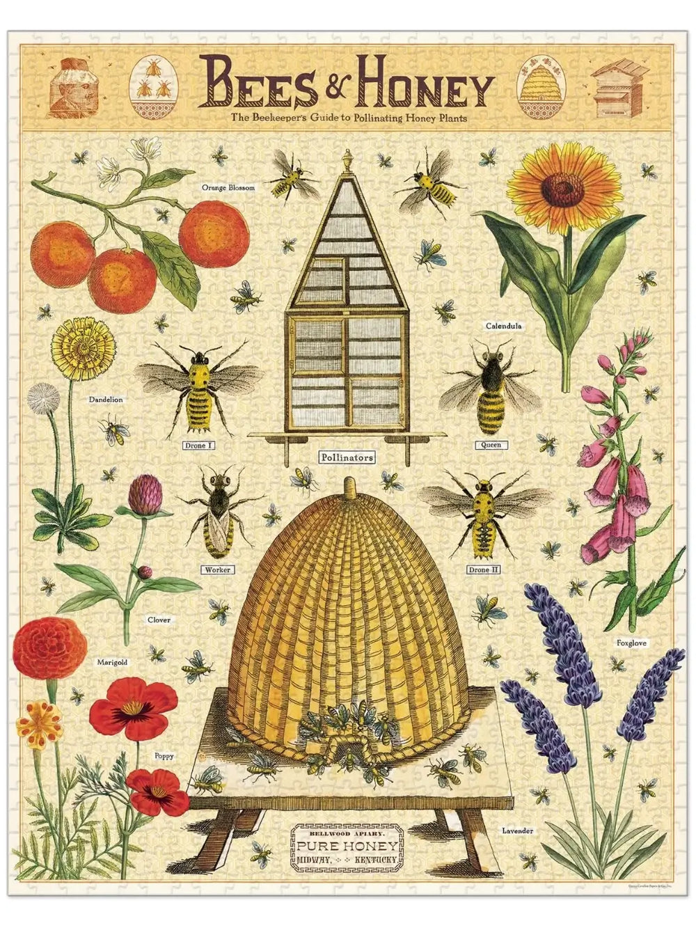 Completed Cavallini Paper & Co Bees & Honey 1000 Piece Puzzle displaying a detailed botanical and scientific style chart of various bee species, flowers, and beekeeping elements titled "Bees & Honey" | Twentyseven Toronto