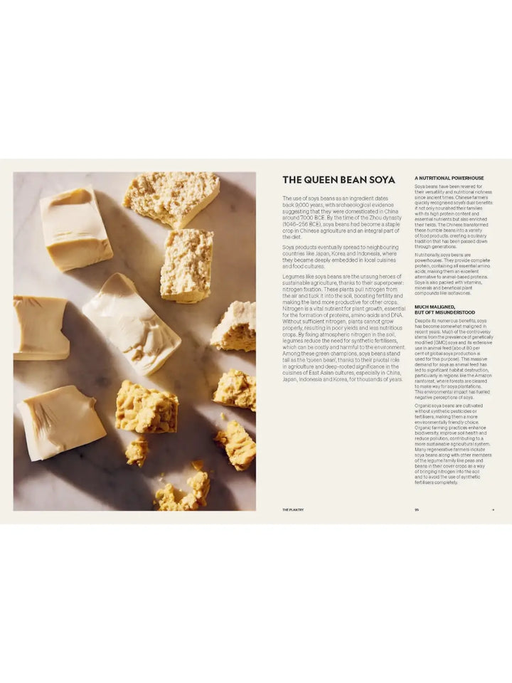 Spread from Beyond Baking: Plant-Based Baking for a New Era by Philip Khoury titled "The Queen Bean Soya," featuring a photograph of various forms of tofu and soy products on the left and informative text on the right | Twentyseven Toronto