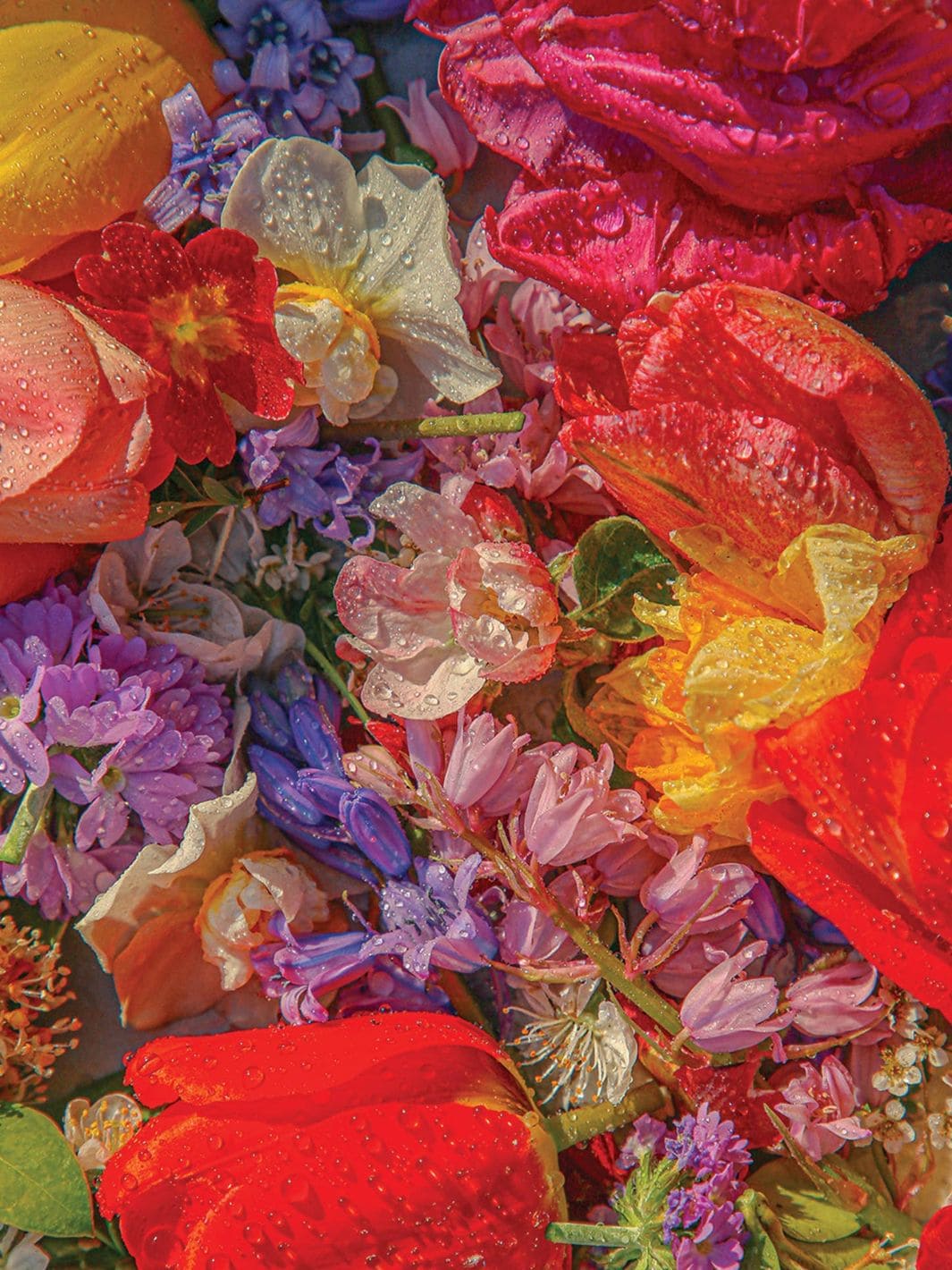 Piecework Puzzles Blossom - 1000 Piece Puzzle | Twentyseven Toronto