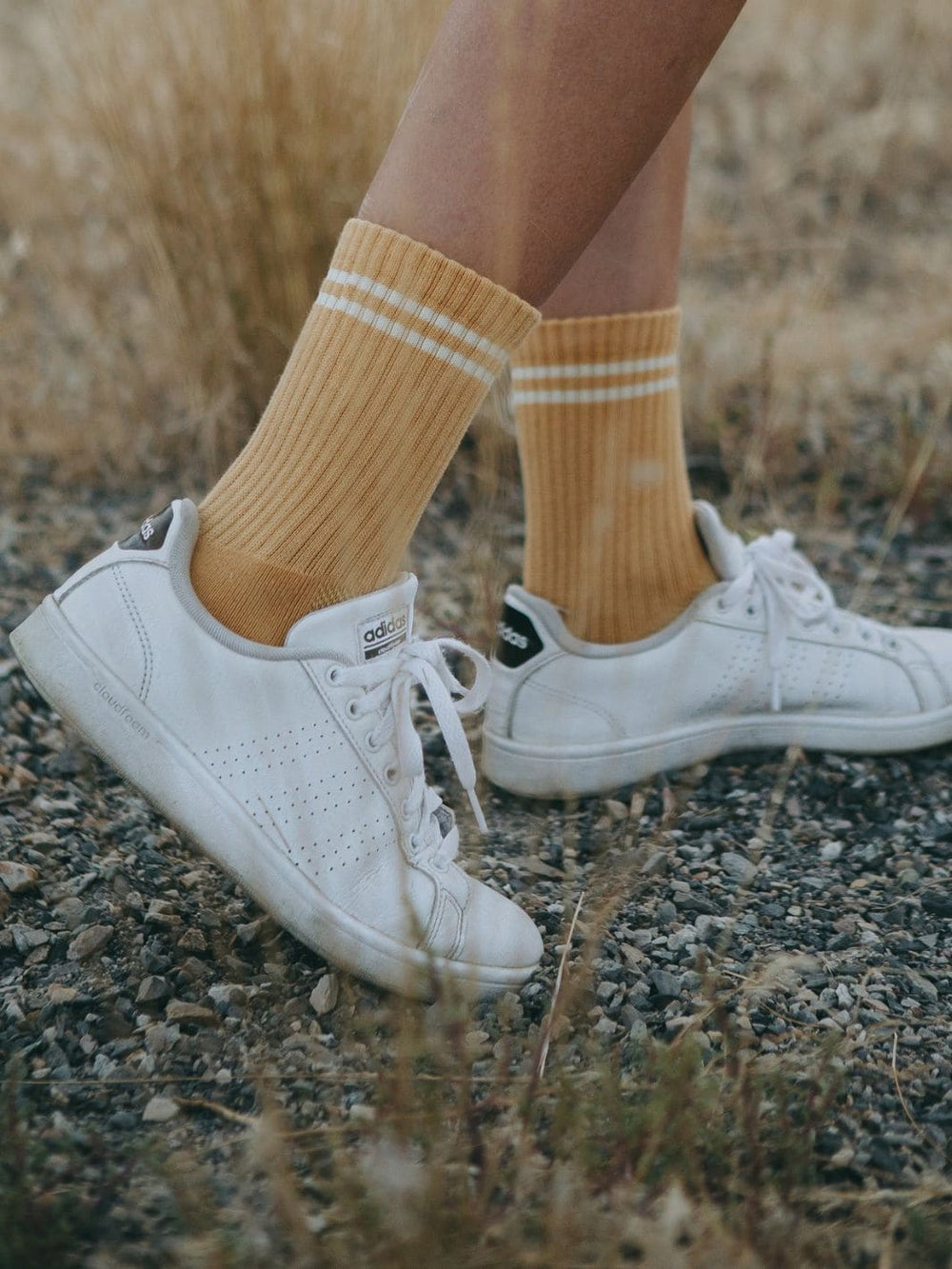 Twentyseven Toronto - Le Bon Shoppe Boyfriend Socks - Butter