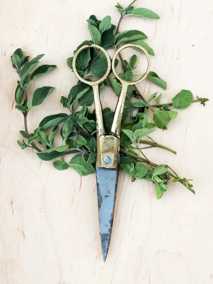 Brass Handle Scissors Small from Fog Linen Work are displayed on a light wood surface, layered over fresh green herb sprigs | Twentyseven Toronto