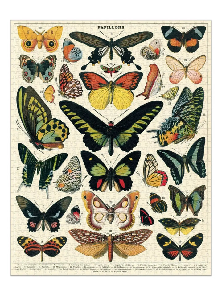 Completed Cavallini Paper & Co Butterflies 1000 Piece Puzzle showcasing a detailed, antique entomology chart titled "Papillons" featuring rows of intricately patterned butterflies | Twentyseven Toronto