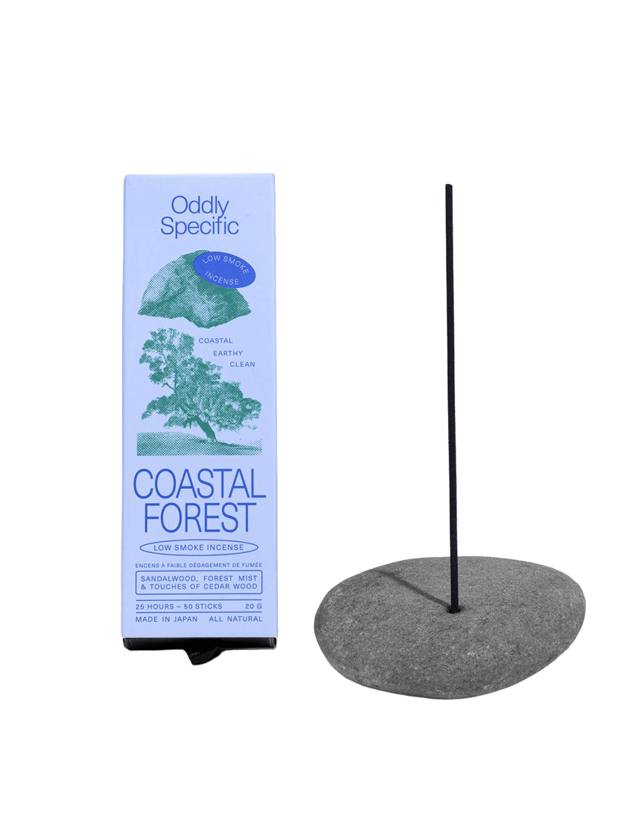 Oddly Specific Coastal Forest Low Smoke Incense in light blue packaging with green tree and coastal illustrations, displayed beside a black incense stick in a grey stone holder | Twentyseven Toronto