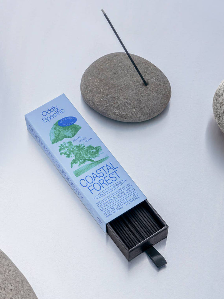 Oddly Specific Coastal Forest Japanese incense featuring blue and green packaging, black incense sticks in a pull-out tray and a single incense stick in a grey stone holder | Twentyseven Toronto