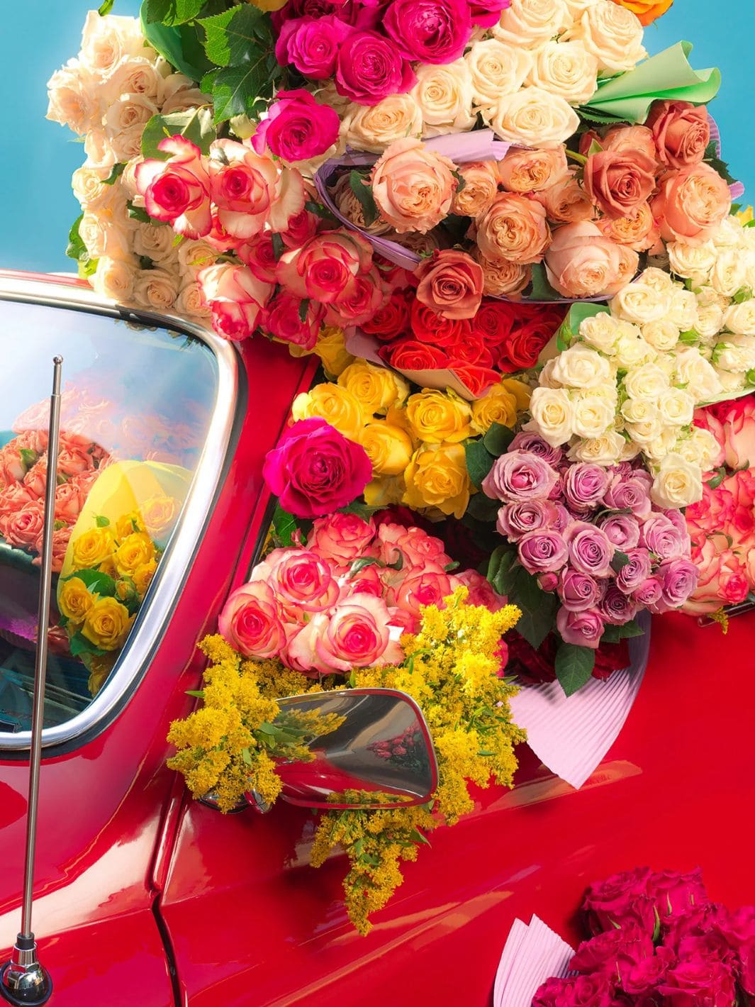 Piecework Puzzles Coming Up Roses - 1000 Piece Puzzle | Twentyseven Toronto