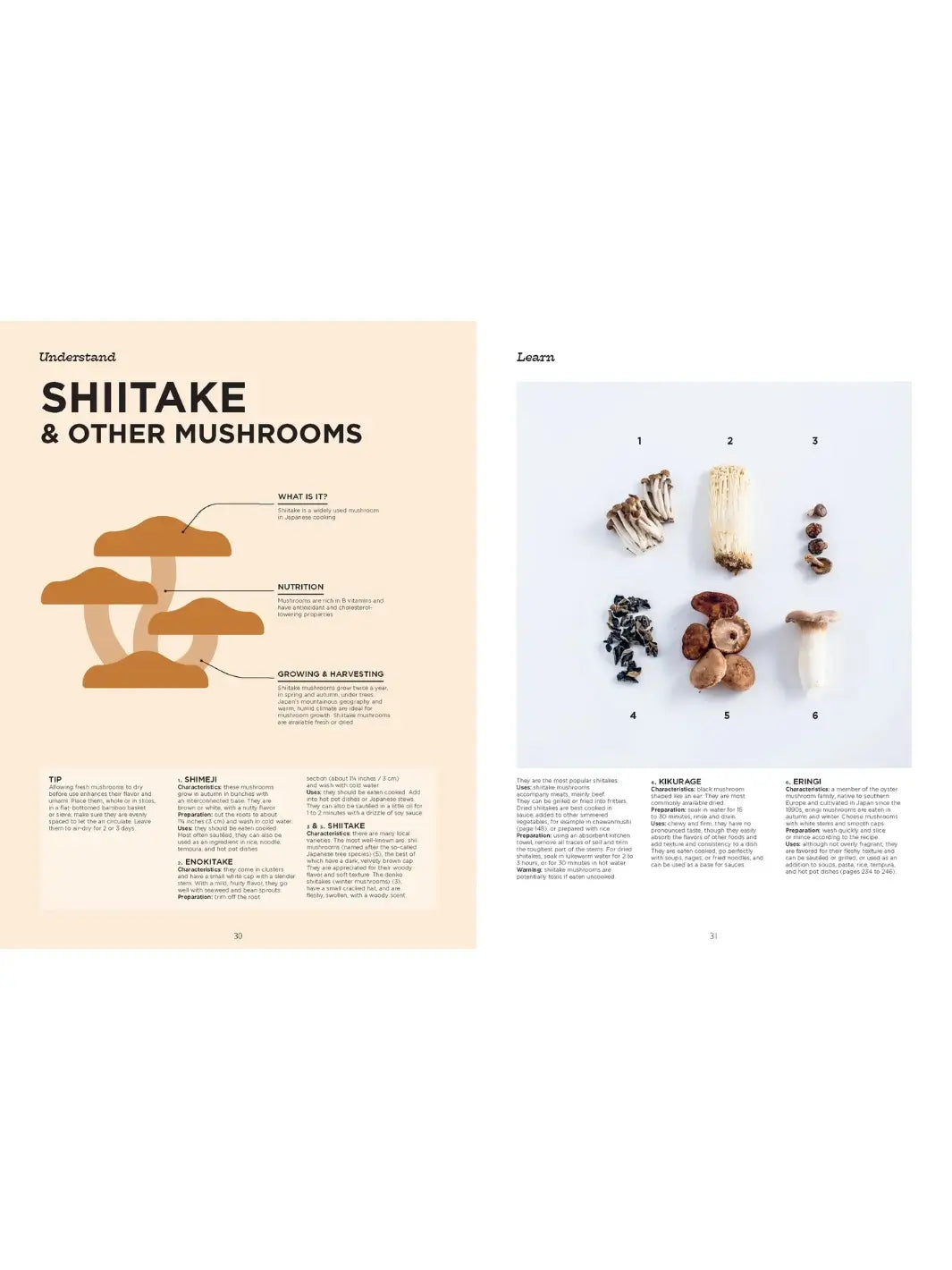 A guide titled "Shiitake & Other Mushrooms", "Learn" page displays high-quality photos of six varieties: Shimeji, Enokitake, Shiitake, Kikurage, and Eringi, arranged neatly on a white background | Twentyseven Toronto