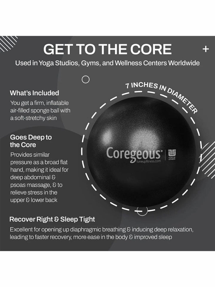Tune Up Fitness Coregeous Ball - Graphite | Twentyseven Toronto