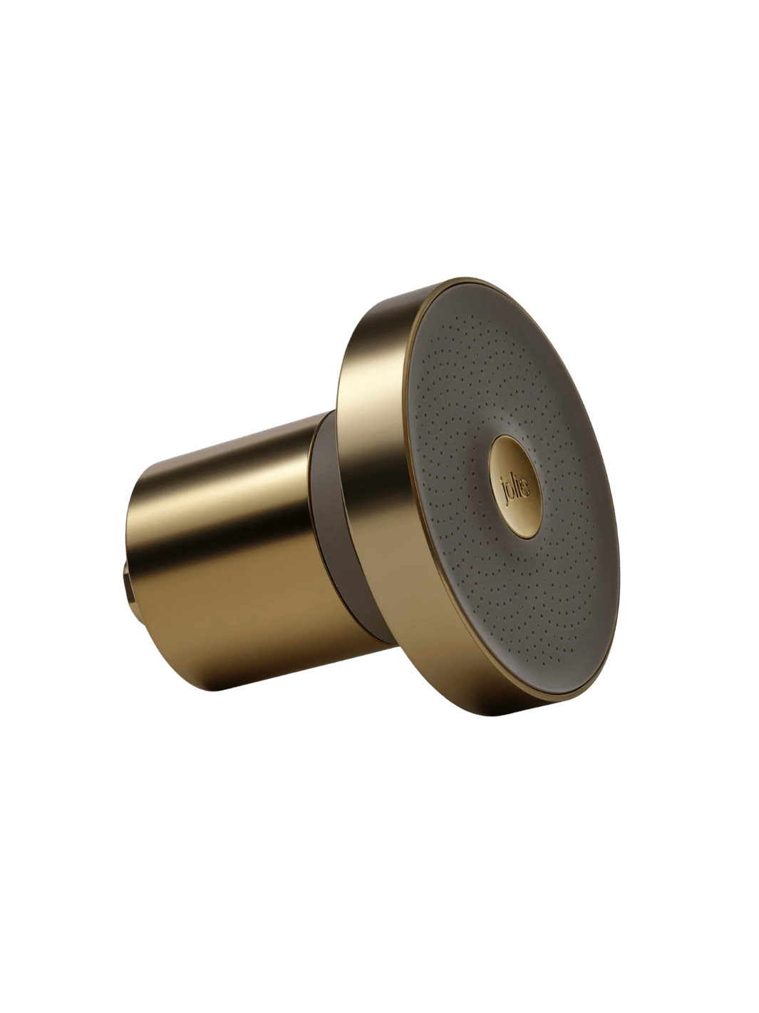 The Jolie Skin Co The Filtered Shower Head in Brushed Gold | Twentyseven Toronto