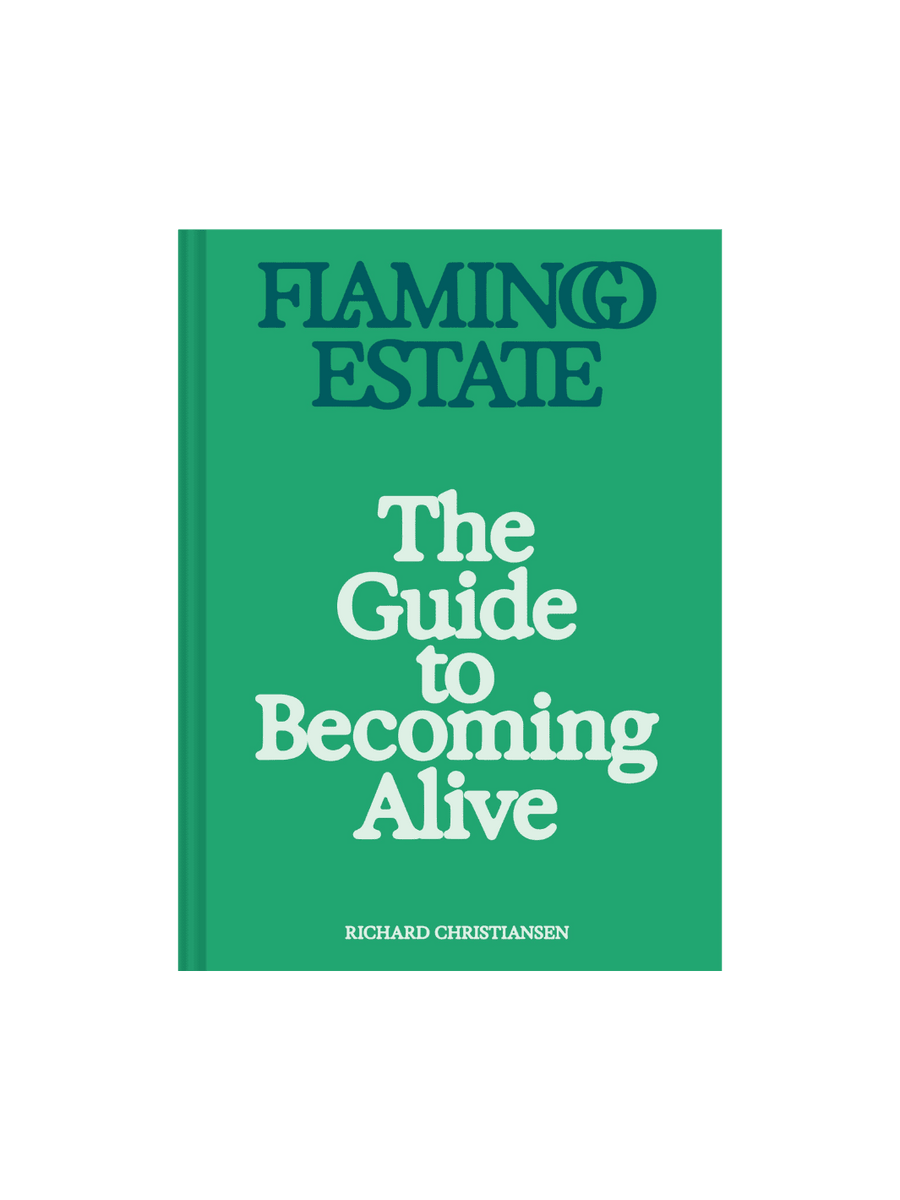 Flamingo Estate: The Guide to Becoming Alive by Richard Christiansen | Twentyseven Toronto