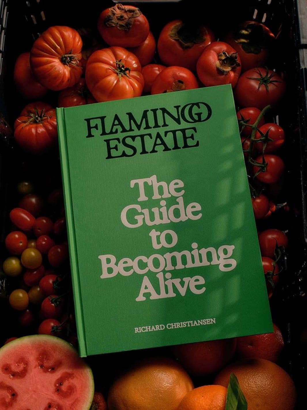 Flamingo Estate: The Guide to Becoming Alive by Richard Christiansen | Twentyseven Toronto