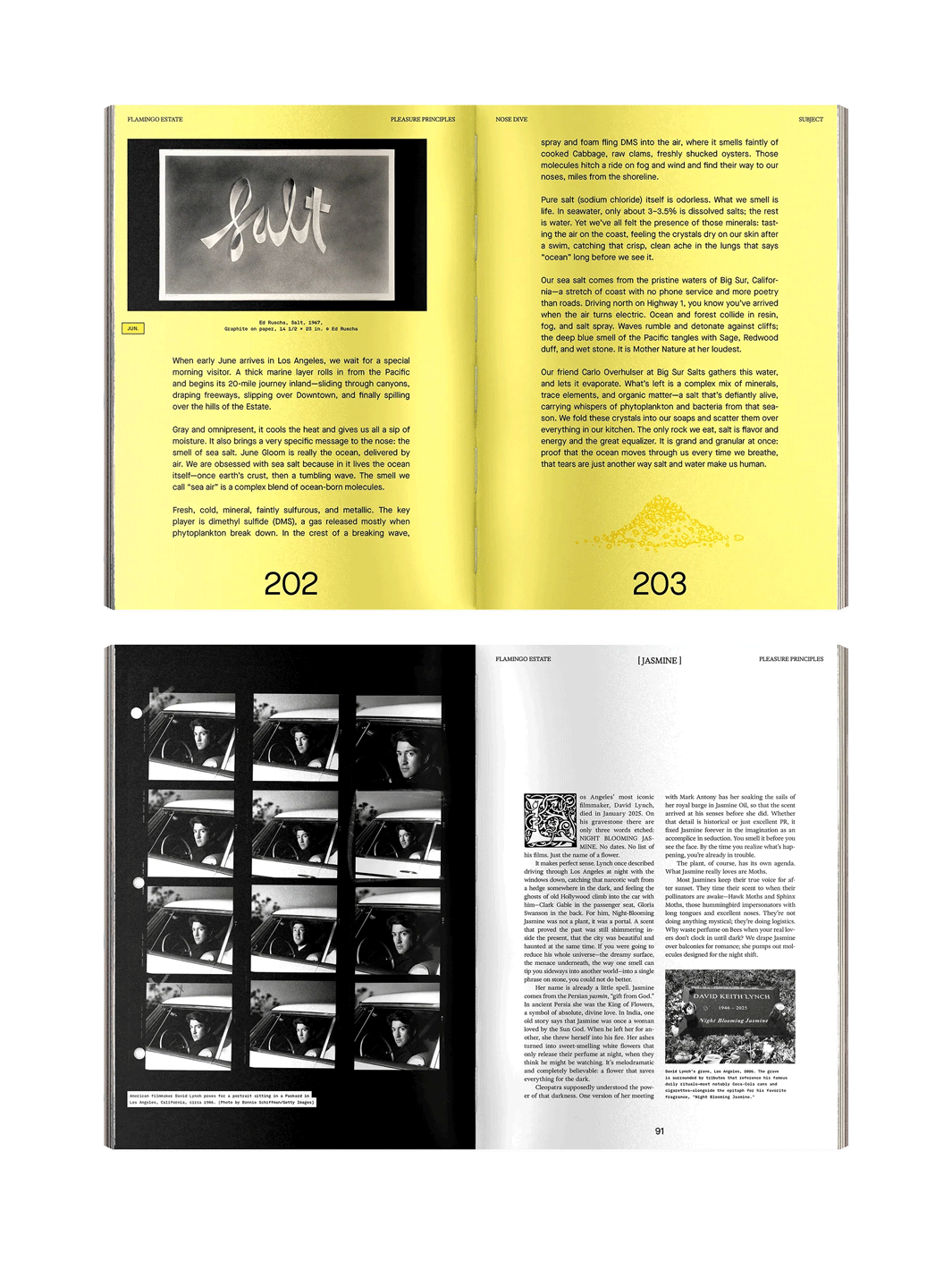 Open pages from Flamingo Estate Pleasure Principles featuring a bright yellow exploration of sea salt and an archival black-and-white feature on jasmine | Twentyseven Toronto
