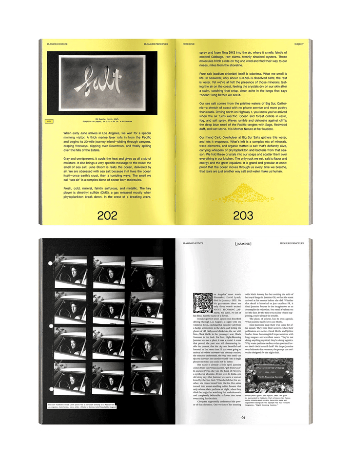 Open pages from Flamingo Estate Pleasure Principles featuring a bright yellow exploration of sea salt and an archival black-and-white feature on jasmine | Twentyseven Toronto