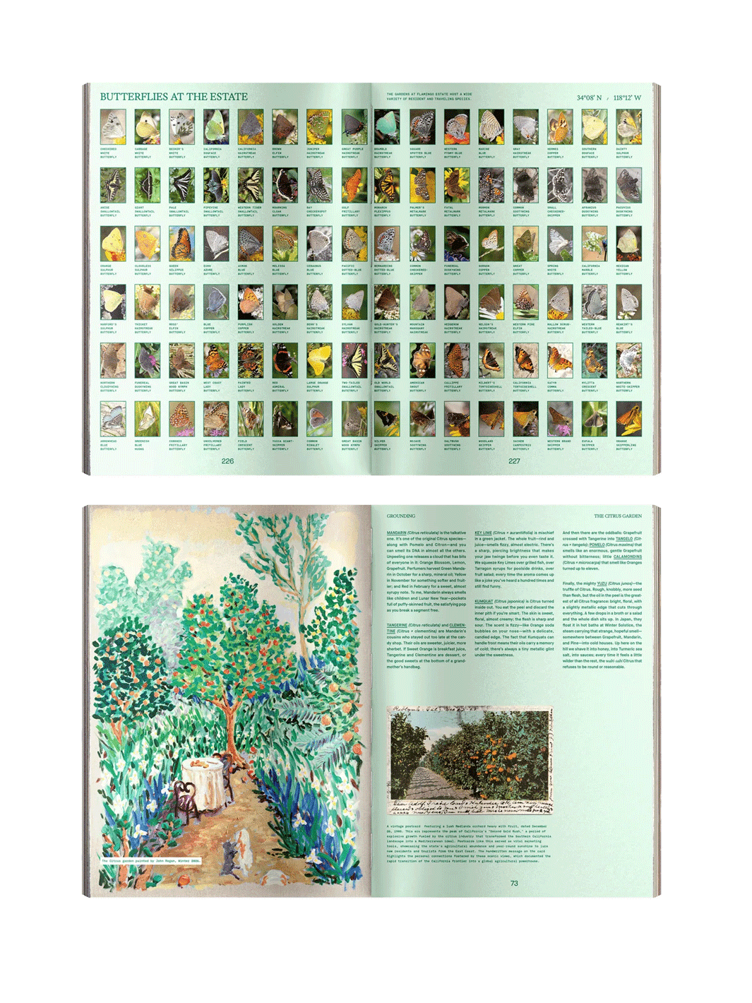 Open pages from Flamingo Estate Pleasure Principles featuring a butterfly identification guide and an illustrated citrus garden with botanical notes | Twentyseven Toronto