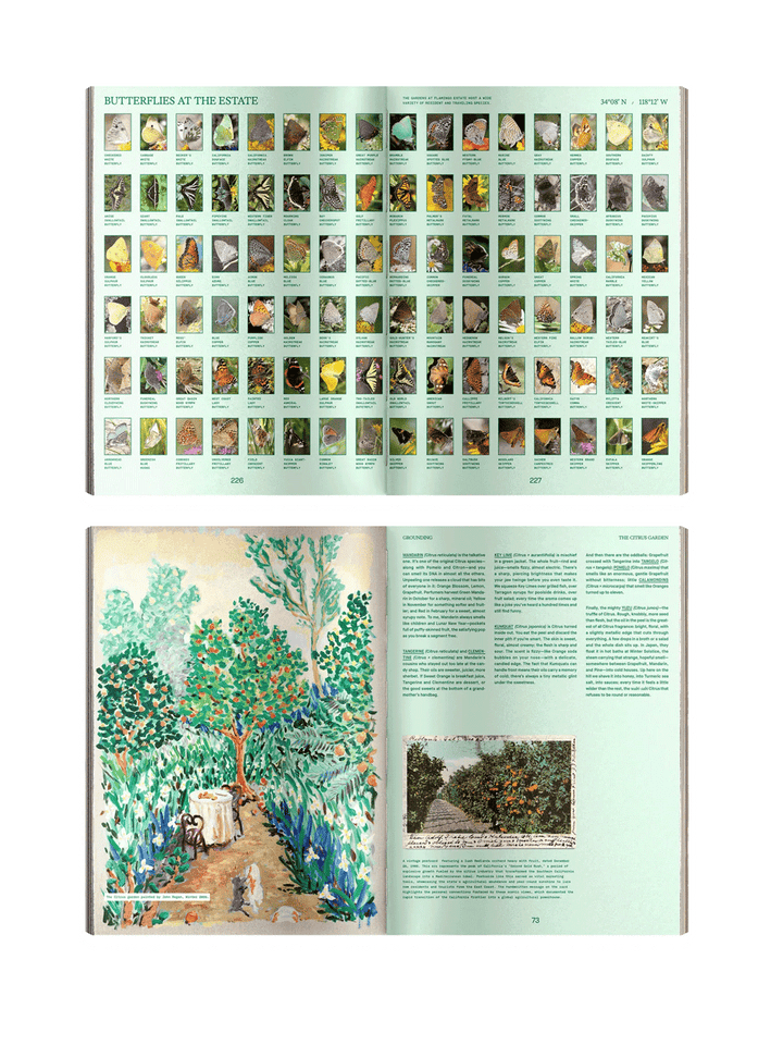 Open pages from Flamingo Estate Pleasure Principles featuring a butterfly identification guide and an illustrated citrus garden with botanical notes | Twentyseven Toronto