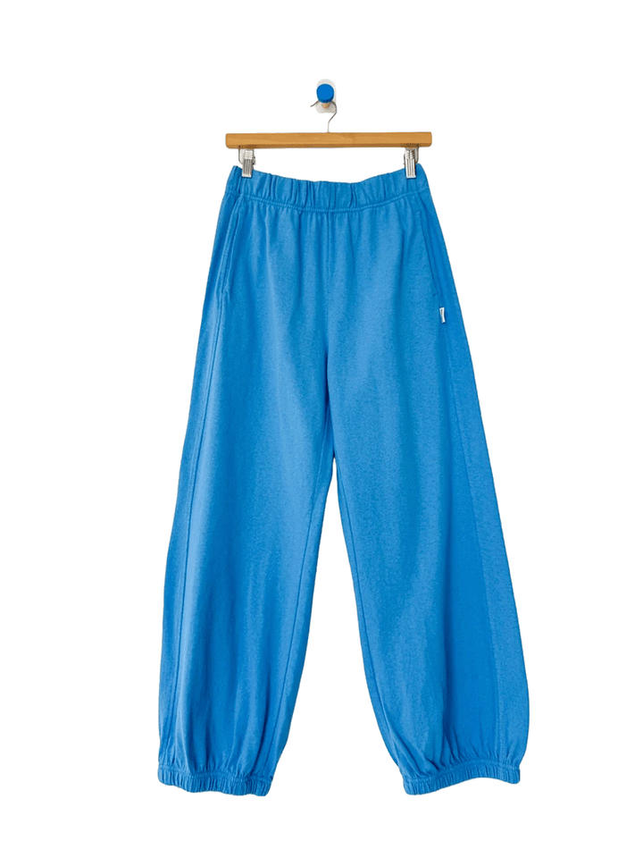 French Blue Balloon Pants displayed on a hanger, featuring a relaxed, voluminous silhouette, elastic waistband, side pockets and gathered ankle cuffs | Twentyseven Toronto