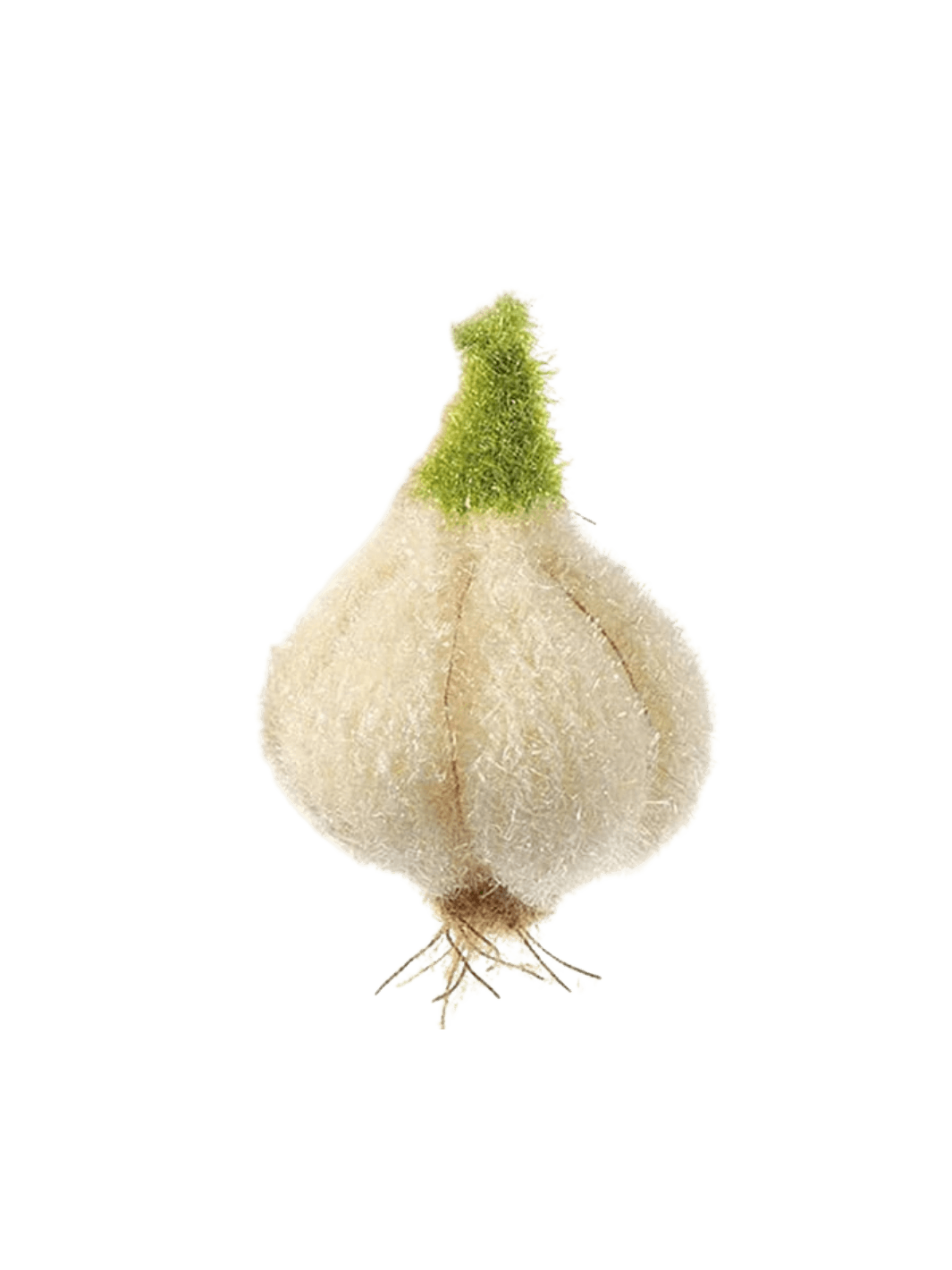 Korean sponge in 'Garlic' design from Mykelys | Twentyseven Toronto