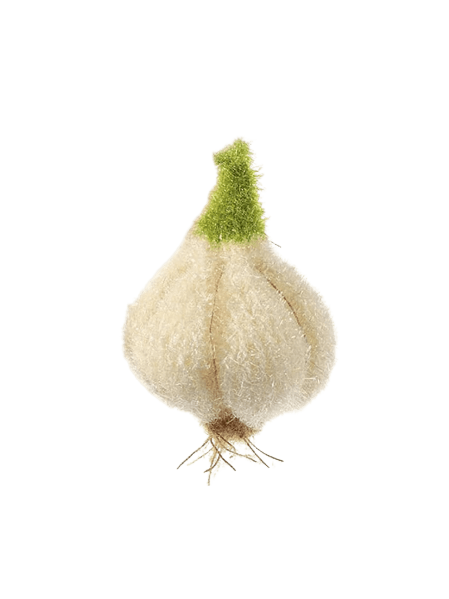 Korean sponge in 'Garlic' design from Mykelys | Twentyseven Toronto