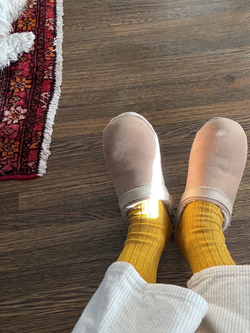 Le Bon Shoppe Her Socks (Glitter) - Mustard Glitter | Twentyseven Toronto