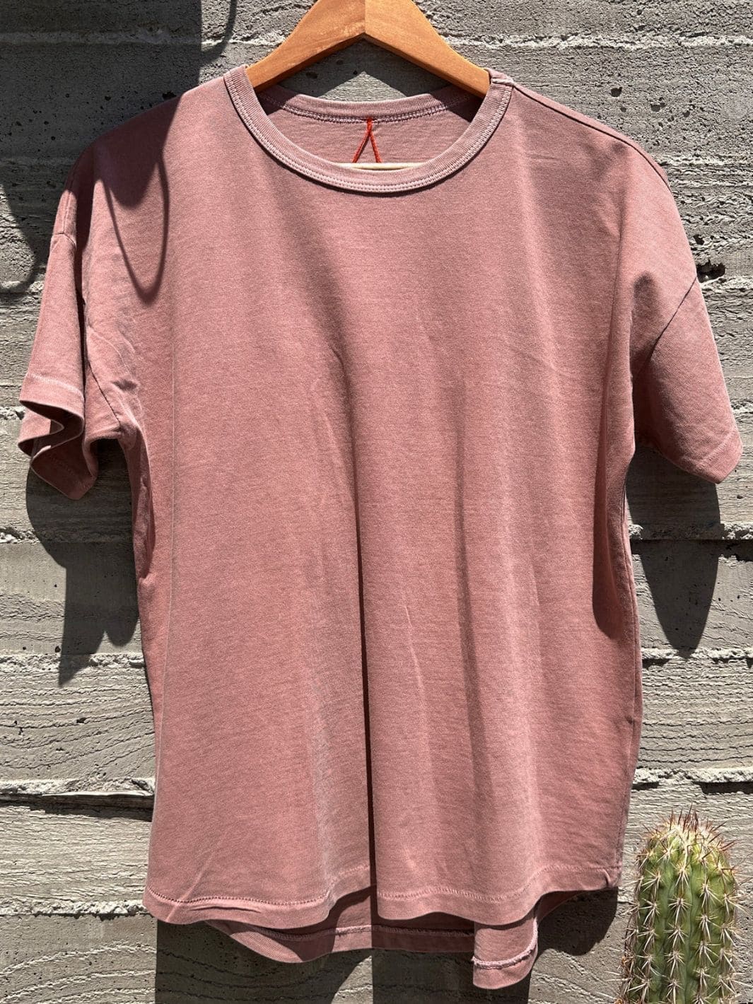 Twentyseven Toronto - Le Bon Shoppe Her Tee - Dried Rose