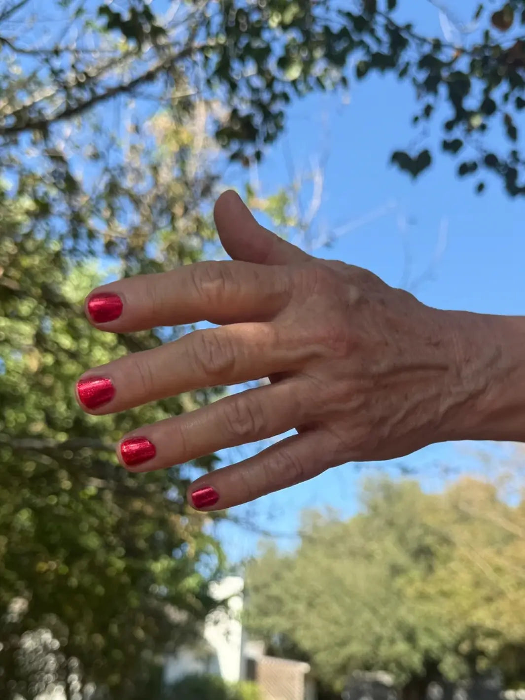 A hand with short, square nails painted in Death Valley Nails Hot Tamale Nail Polish is held up against a backdrop of green trees and a bright blue sky | Twentyseven Toronto