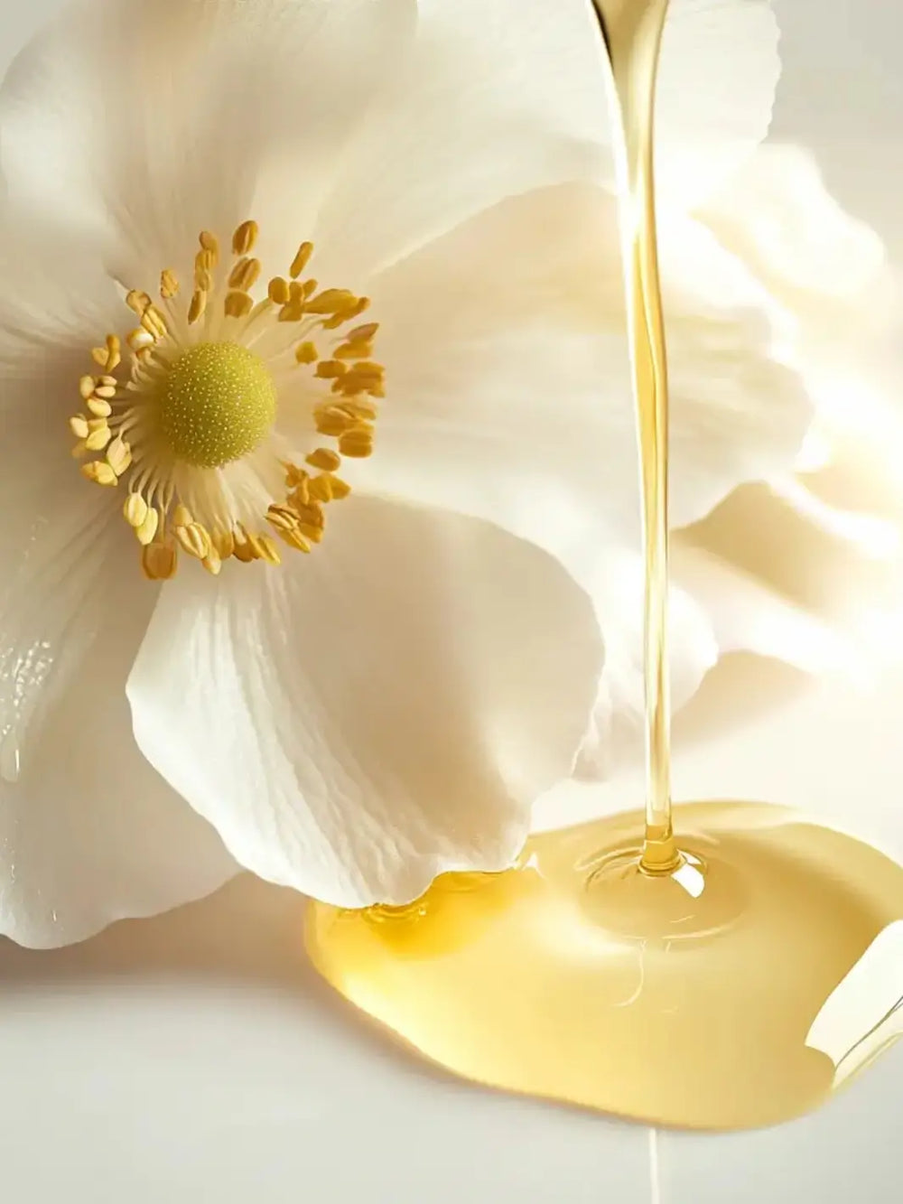 White flower with yellow center and a 'Huile Secret de Beauté' gold liquid from Leonor Greyl pouring onto it | Twentyseven Toronto
