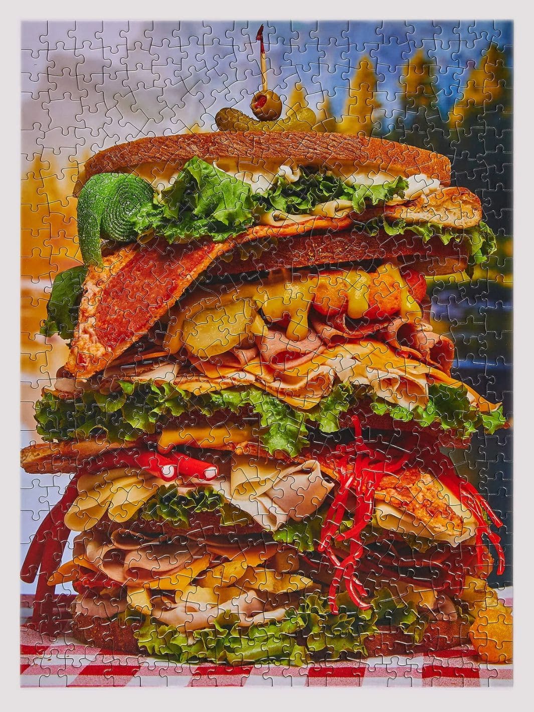 Le Puzz Big Sammy 500 Piece Jigsaw Puzzle | Twentyseven Toronto