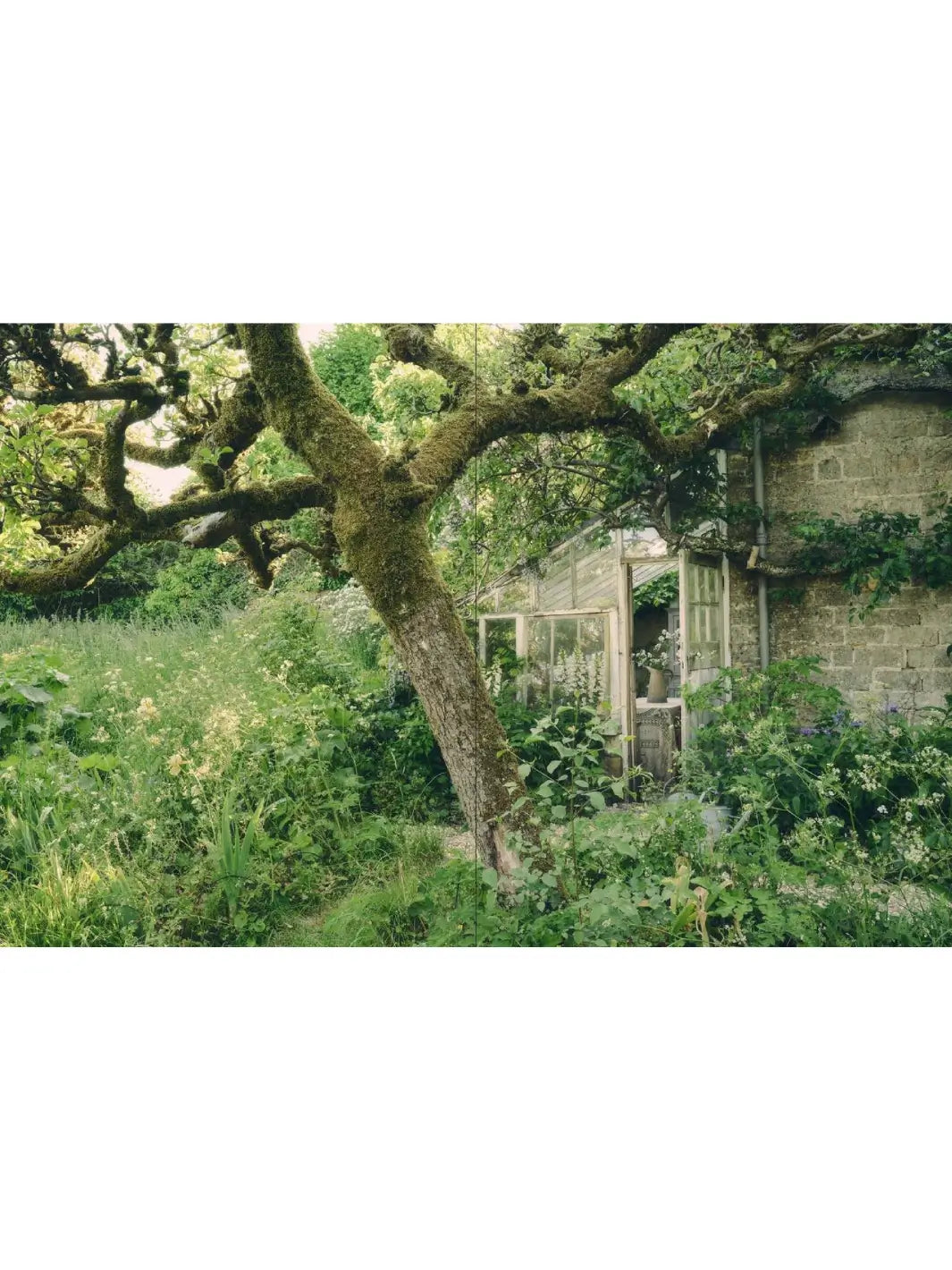 Lush, full-bleed photograph in Life Inside A Cottage by Nell Card and Rachel Vere captures an old stone building partially obscured by a moss-covered tree and overgrown garden greenery | Twentyseven Toronto