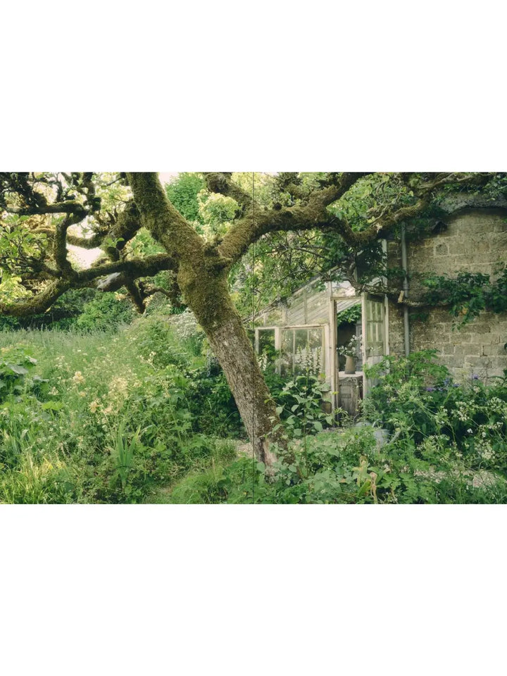 Lush, full-bleed photograph in Life Inside A Cottage by Nell Card and Rachel Vere captures an old stone building partially obscured by a moss-covered tree and overgrown garden greenery | Twentyseven Toronto
