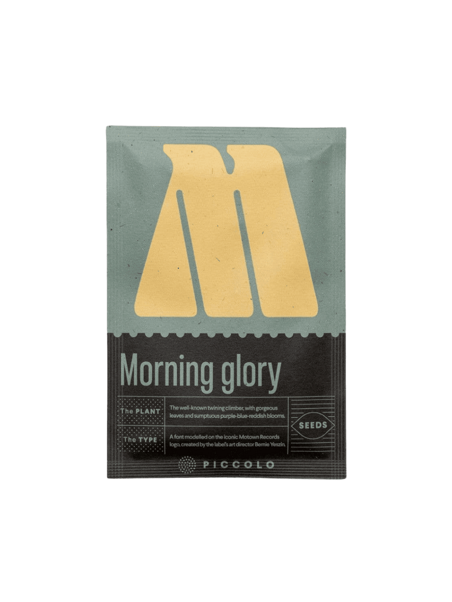 Piccolo Seeds M - Morning Glory Seed Pack | Twentyseven Toronto
