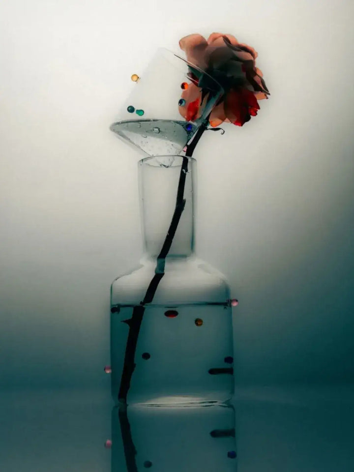 Clear glass 'Madame Pomponette' carafe from Maison Balzac with a single red rose against a moody  background | Twentyseven Toronto