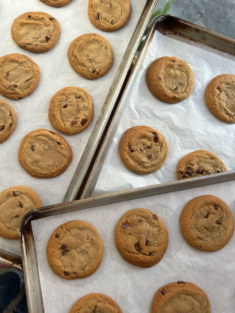 Mandy's Chocolate Chip Cookie Mix | Twentyseven Toronto