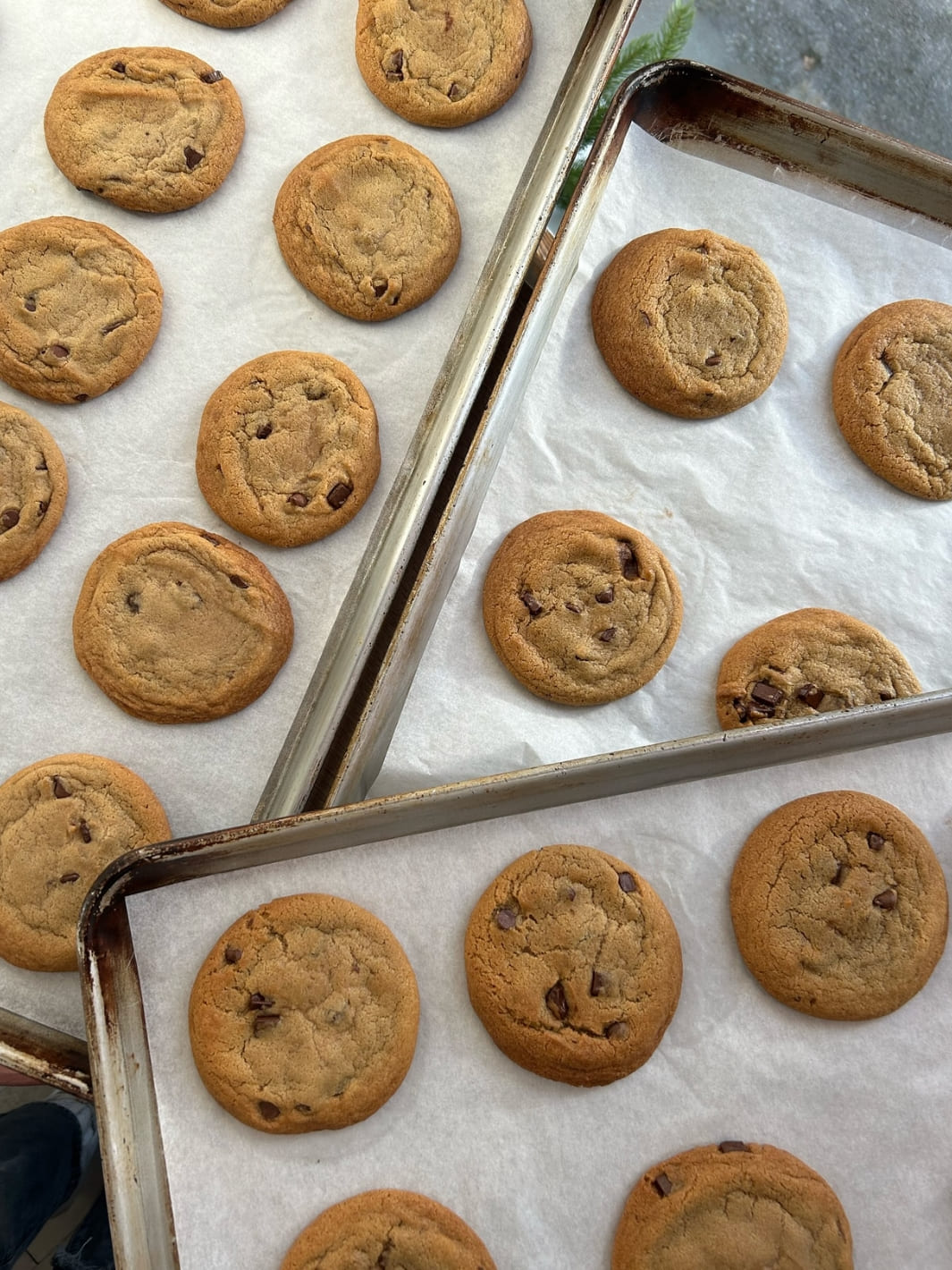 Mandy's Chocolate Chip Cookie Mix | Twentyseven Toronto