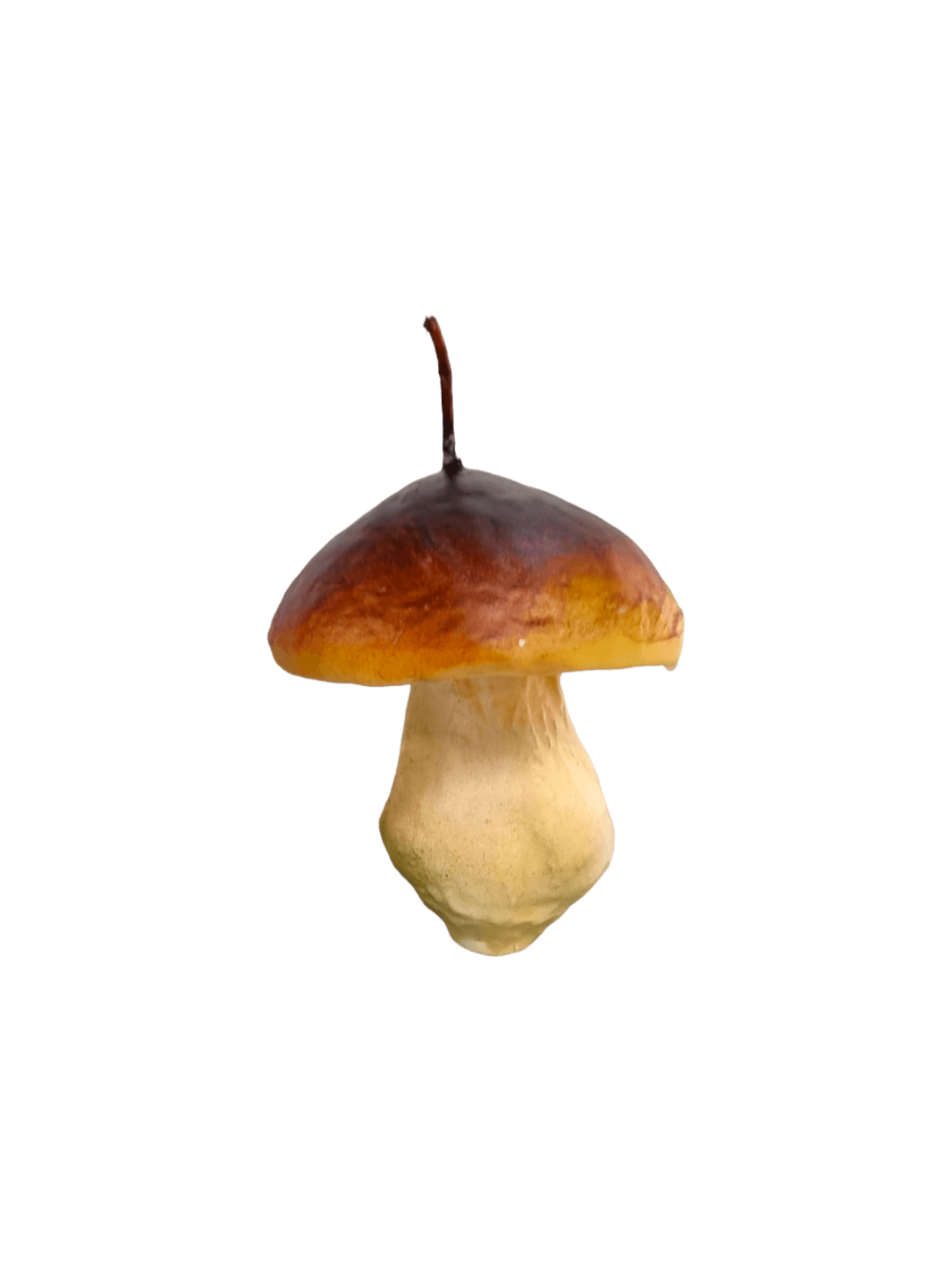 Medium Mushroom-shaped candle from Cereria Introna on a transparent background | Twentyseven Toronto