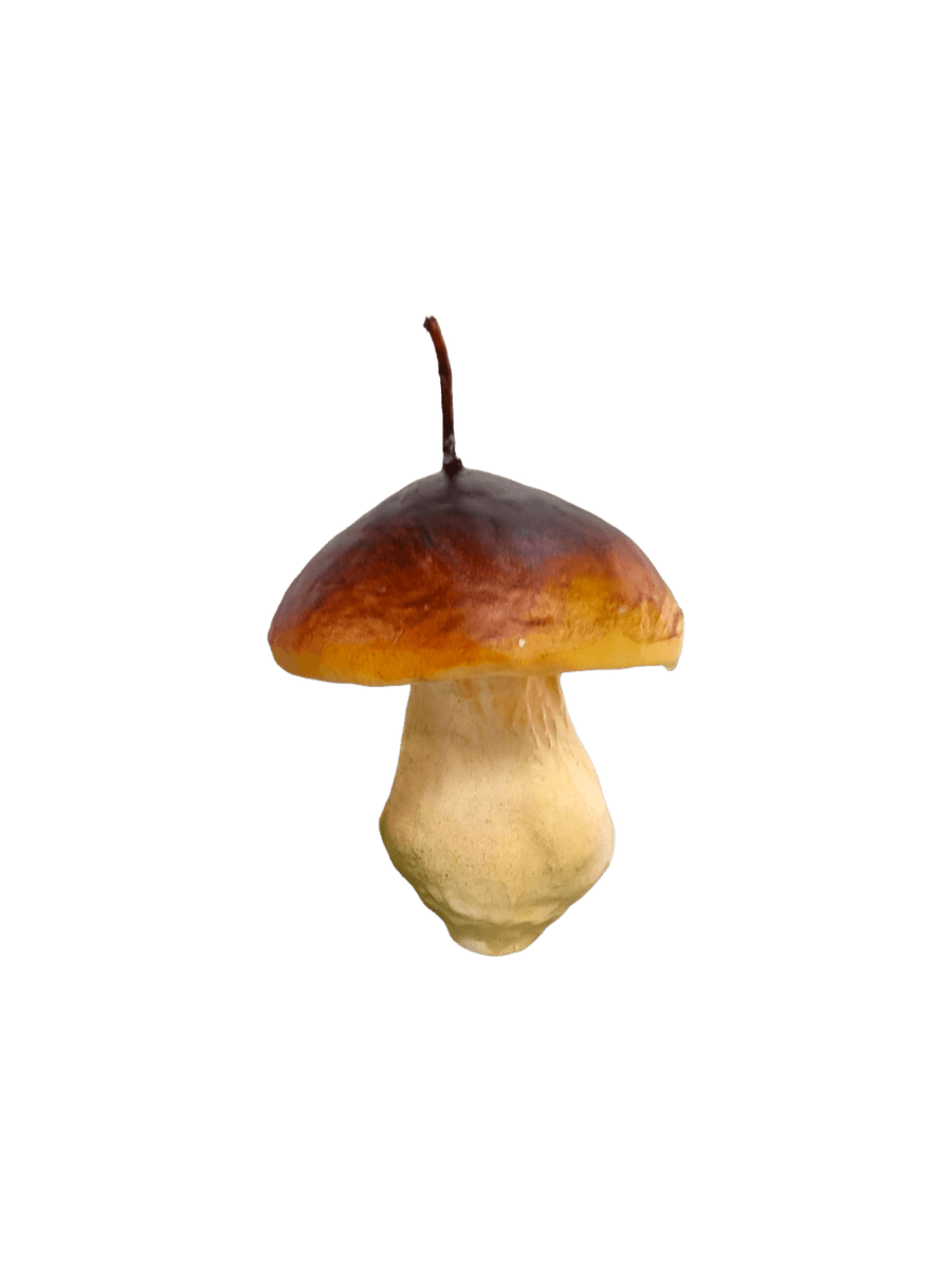 Medium Mushroom-shaped candle from Cereria Introna on a transparent background | Twentyseven Toronto