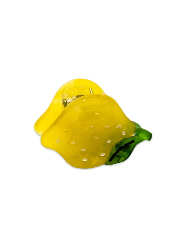 Jenny Lemons Micro Fruit and Flowers Hair Claw Clip Set | Twentyseven Toronto