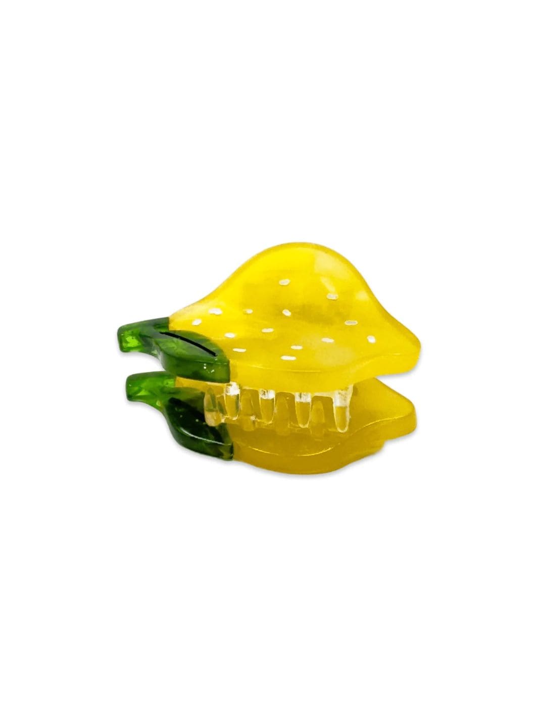 Jenny Lemons Micro Fruit and Flowers Hair Claw Clip Set | Twentyseven Toronto